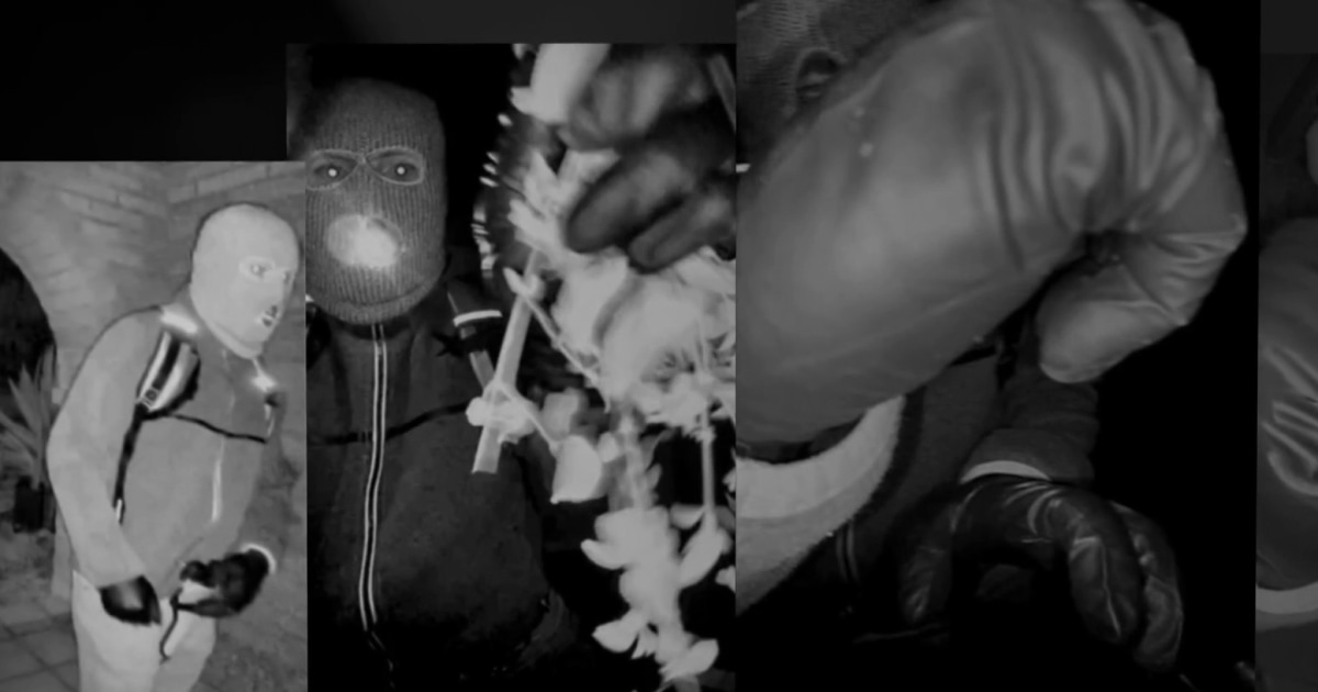 Analizuojami ginkluoto vyro vaizdai Nancy Guthrie verandoje